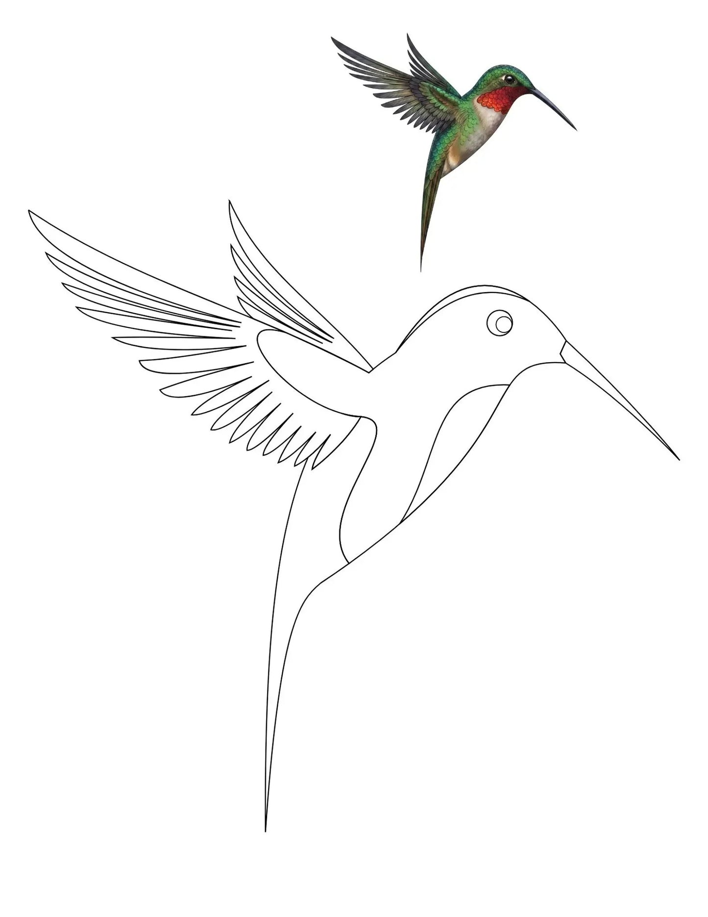 50 Bird Coloring Pages for Kids | Printable Bird Coloring Book & Fun Learning Activities
