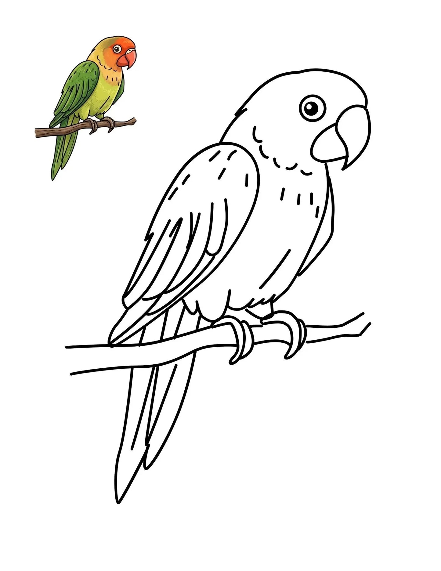50 Bird Coloring Pages for Kids | Printable Bird Coloring Book & Fun Learning Activities