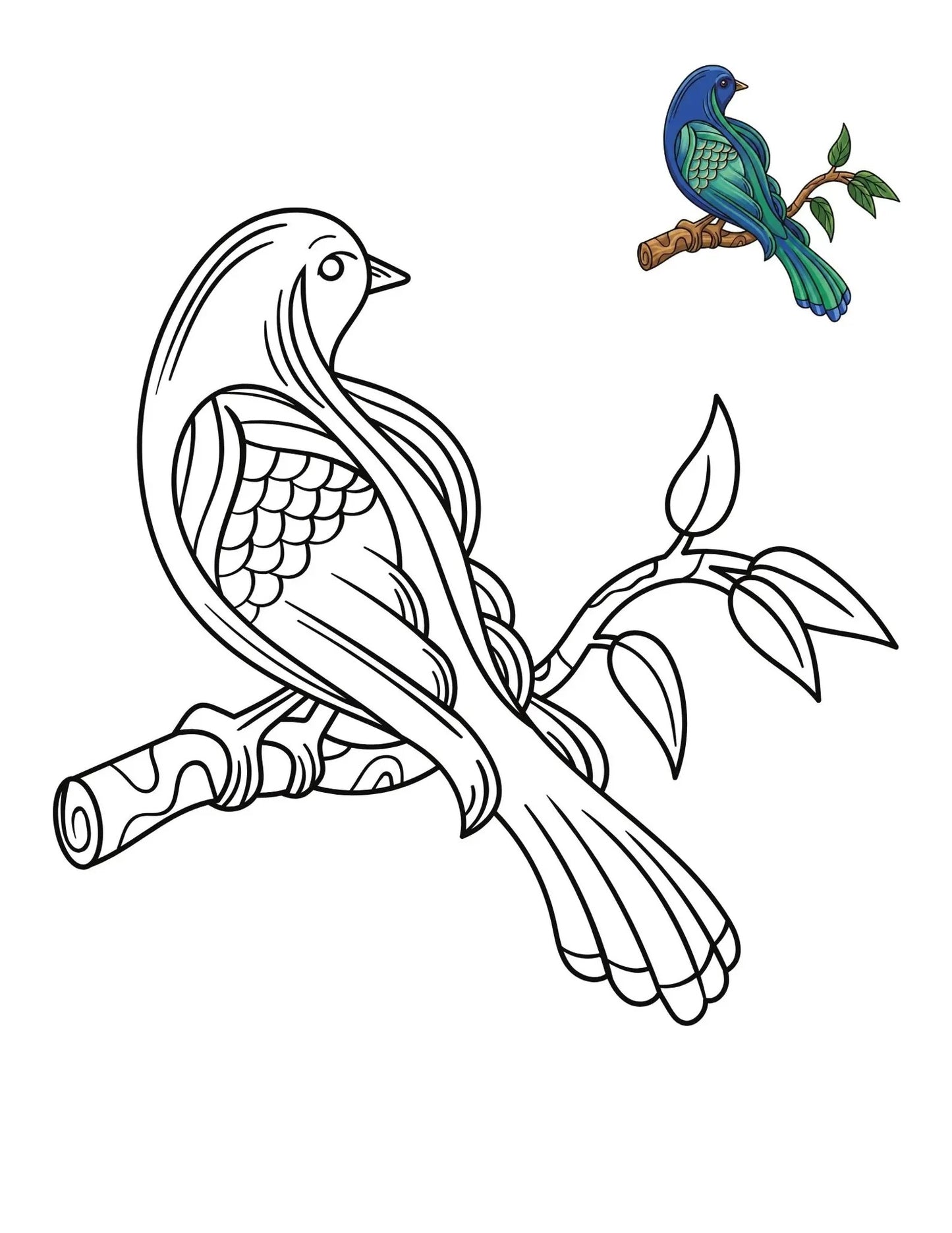 50 Bird Coloring Pages for Kids | Printable Bird Coloring Book & Fun Learning Activities
