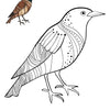 50 Bird Coloring Pages for Kids | Printable Bird Coloring Book & Fun Learning Activities