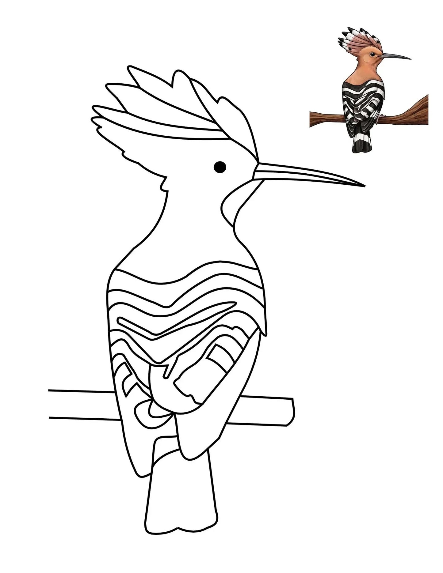50 Bird Coloring Pages for Kids | Printable Bird Coloring Book & Fun Learning Activities