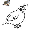 50 Bird Coloring Pages for Kids | Printable Bird Coloring Book & Fun Learning Activities