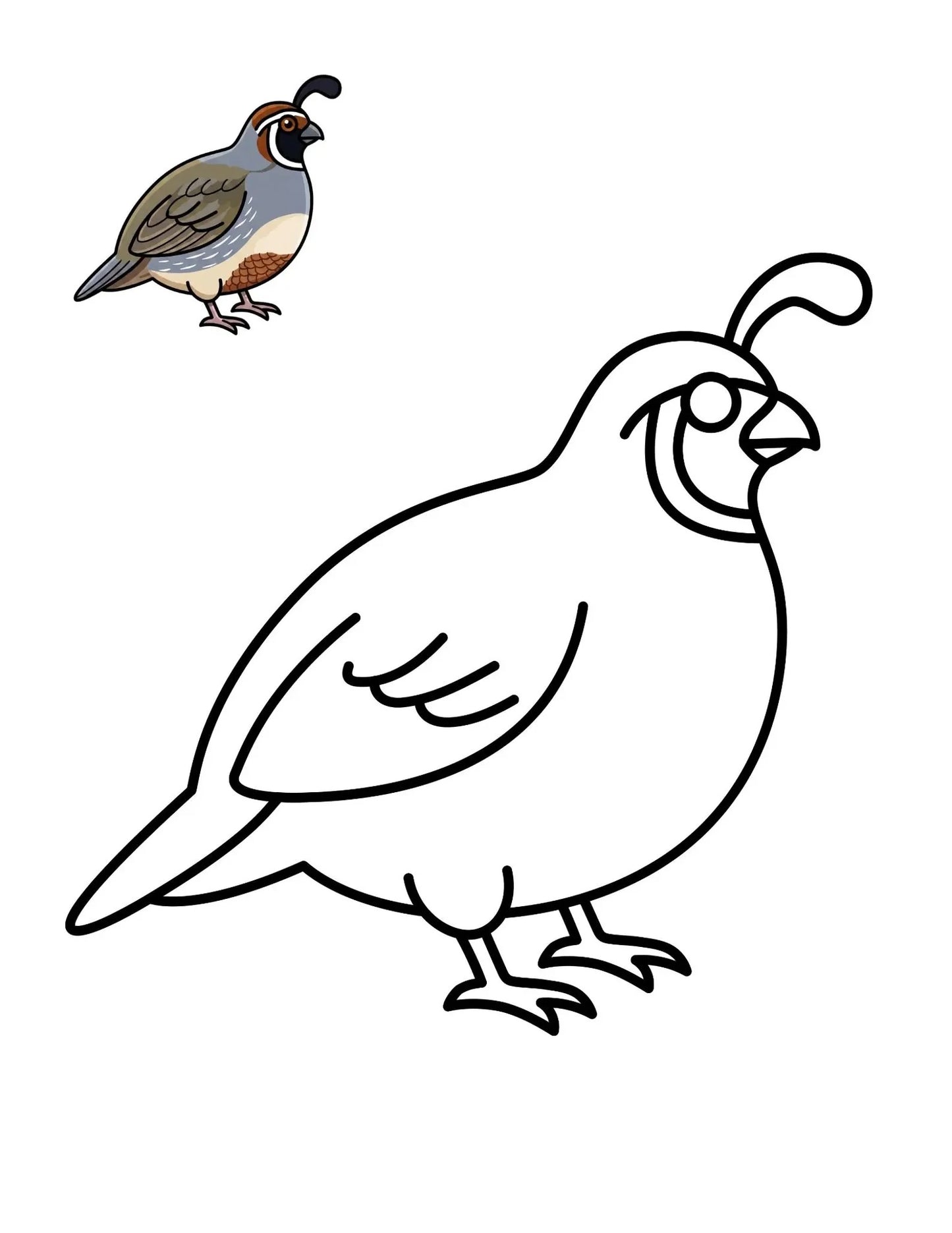50 Bird Coloring Pages for Kids | Printable Bird Coloring Book & Fun Learning Activities