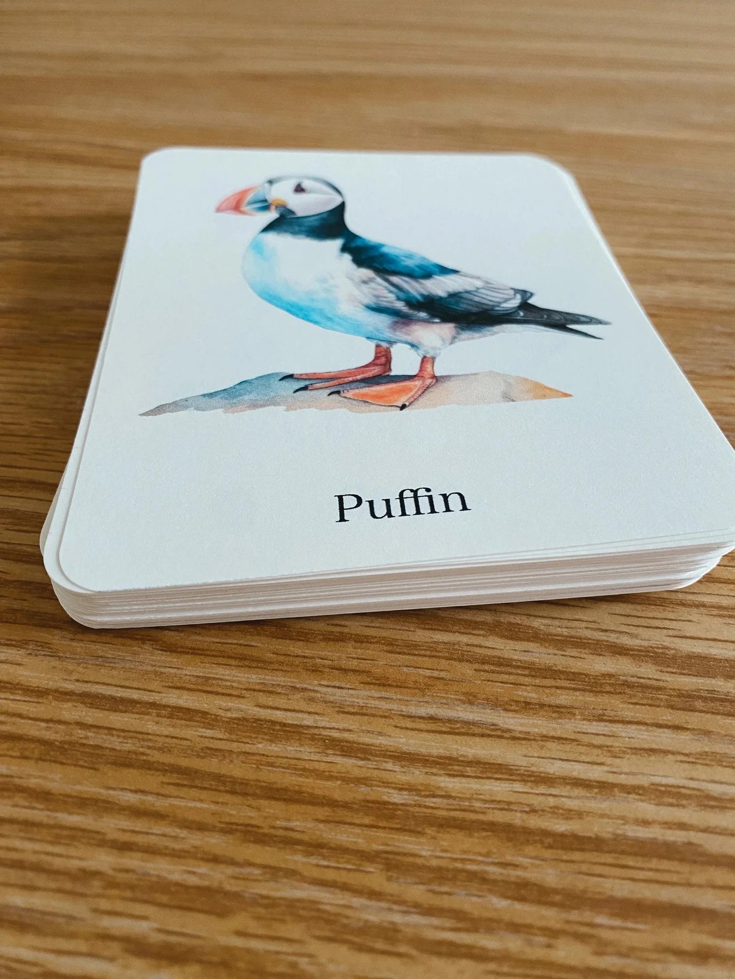 56 Printable Bird Flashcards for Kids | Bird Species Learning & Nature Study Cards