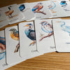 56 Printable Bird Flashcards for Kids | Bird Species Learning & Nature Study Cards