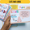 5 Senses Preschool Printable Bundle | Preschool Science Activities