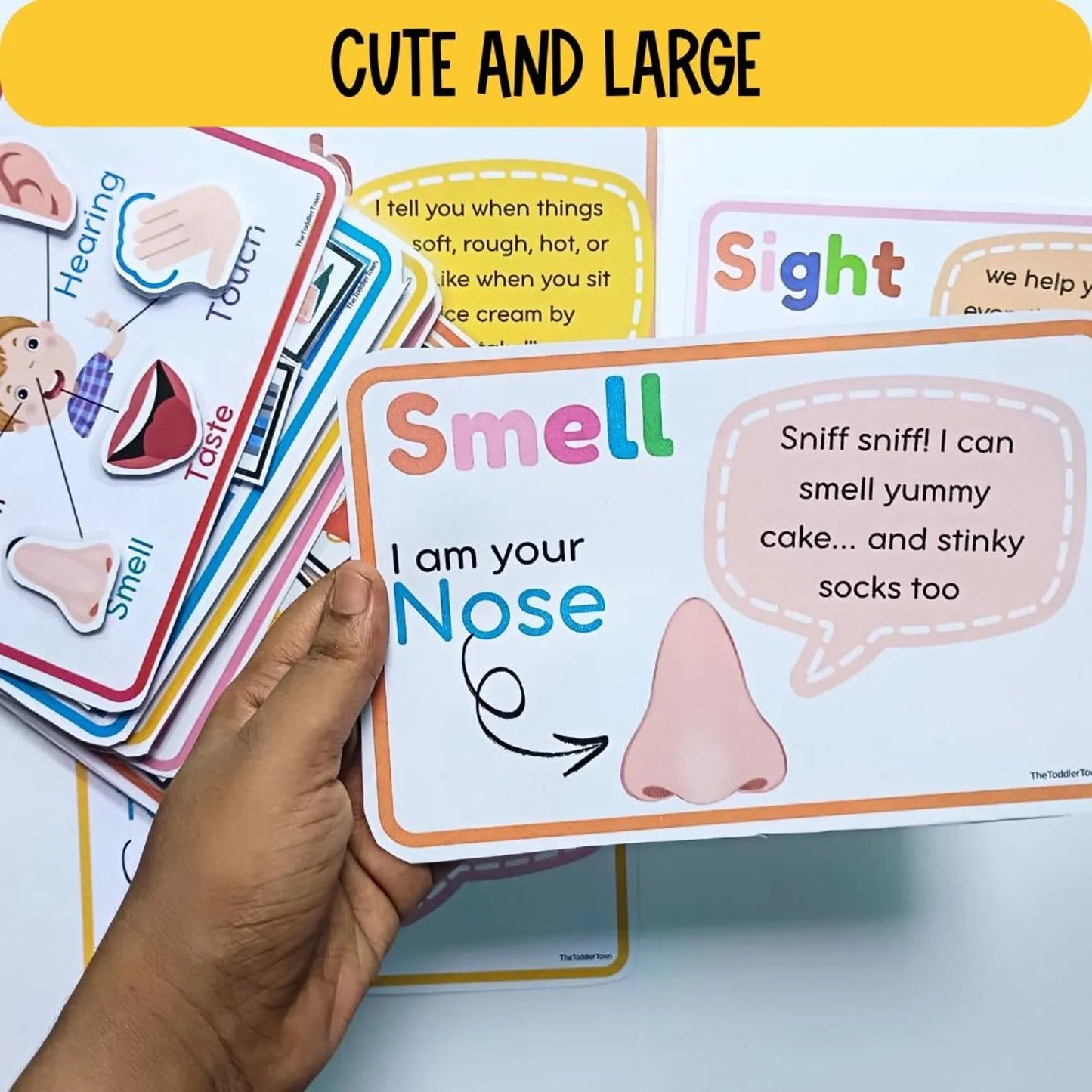 5 Senses Preschool Printable Bundle | Preschool Science Activities