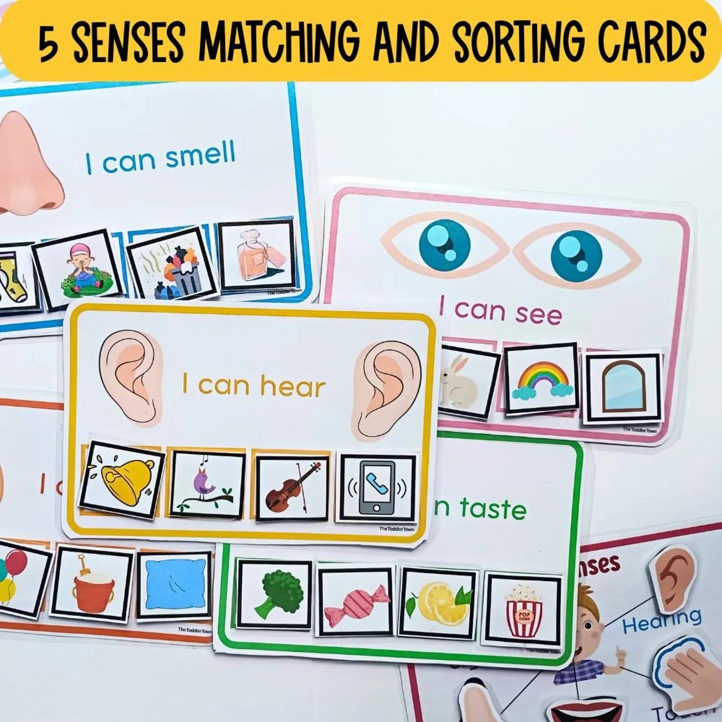 5 Senses Preschool Printable Bundle | Preschool Science Activities