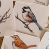 56 Printable Bird Flashcards for Kids | Bird Species Learning & Nature Study Cards